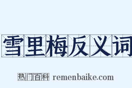 雪里梅反义词是什么意思的图片